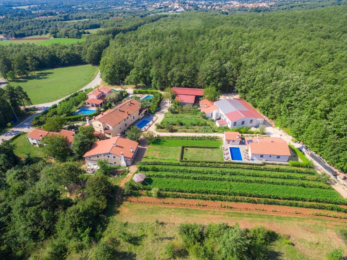 Holiday Home Edi - Roj433 By Interhome Žminj Buitenkant foto